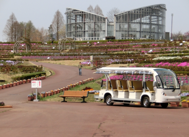 いばらきフラワーパークのイメージ