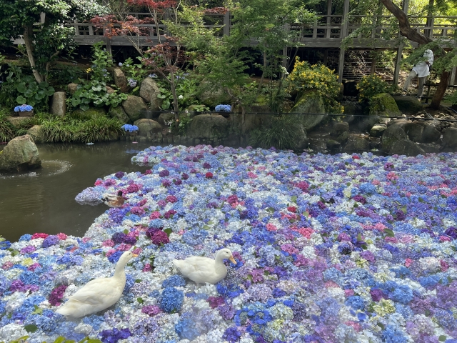 雨引観音のイメージ