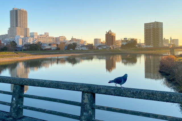 土浦市・桜川のイメージ